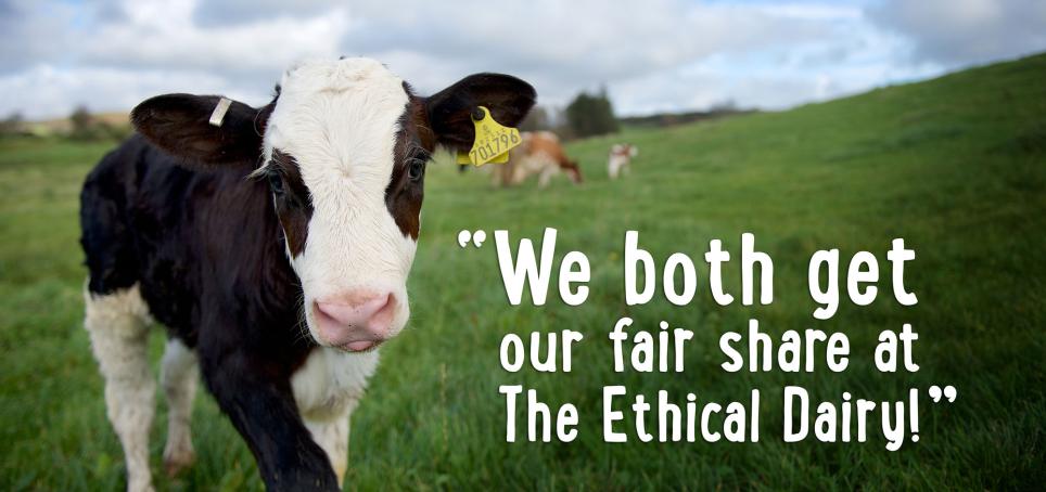 We both get our fair share at the Ethical Dairy