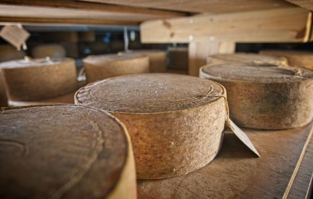 Cheese maturing at The Ethical Dairy credit Ian Findlay