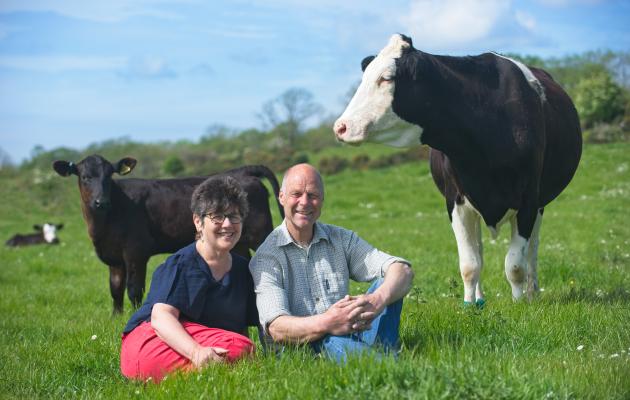 Wilma and David Finlay with cow and calf credit Ian Findlay