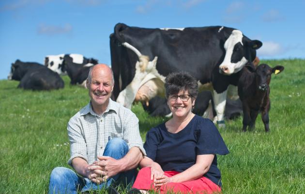 David and Wilma Finlay with cow and calf credit Ian Findlay