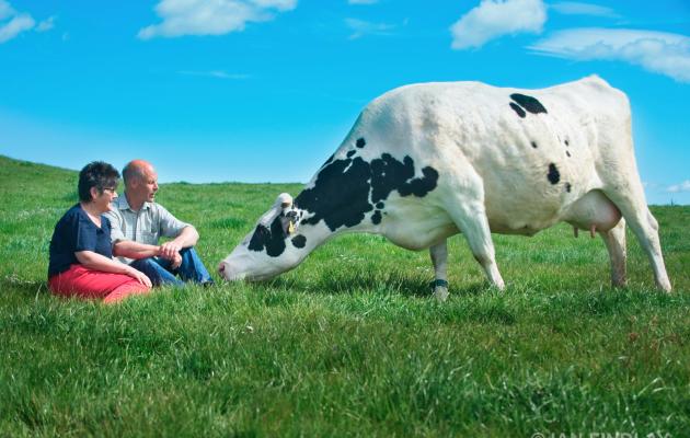 Wilma and David Finlay with dairy cow