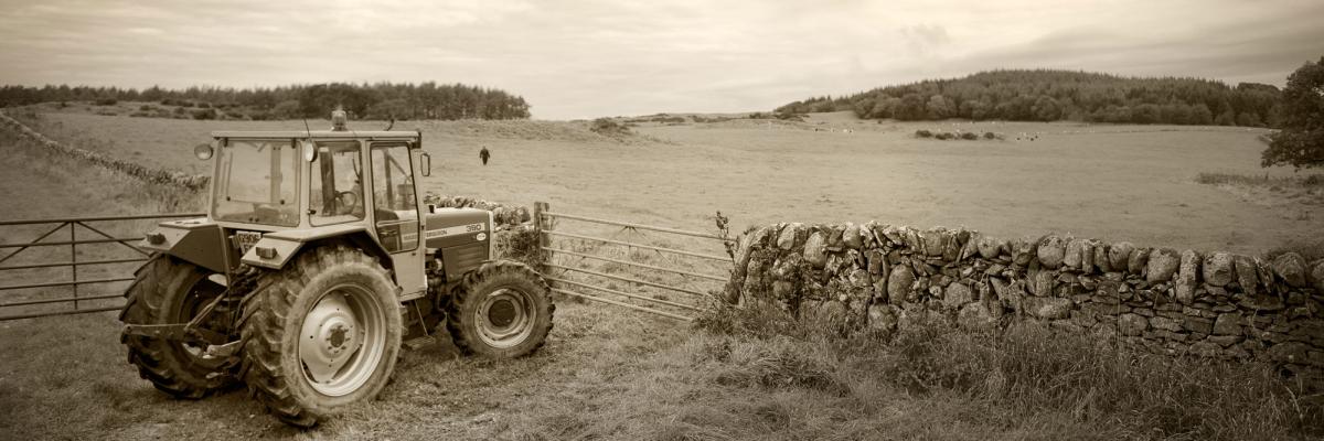 Tractor in field at the Ethical Dairy