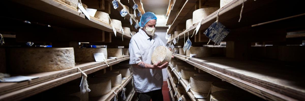 Cheese store at The Ethical Dairy