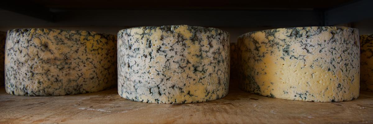 Blue cheese at The Ethical Dairy