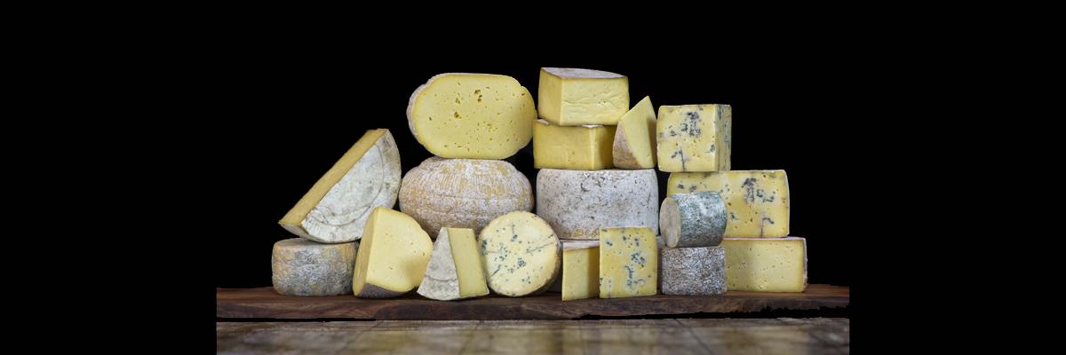 A selection of cheeses from The Ethical Dairy