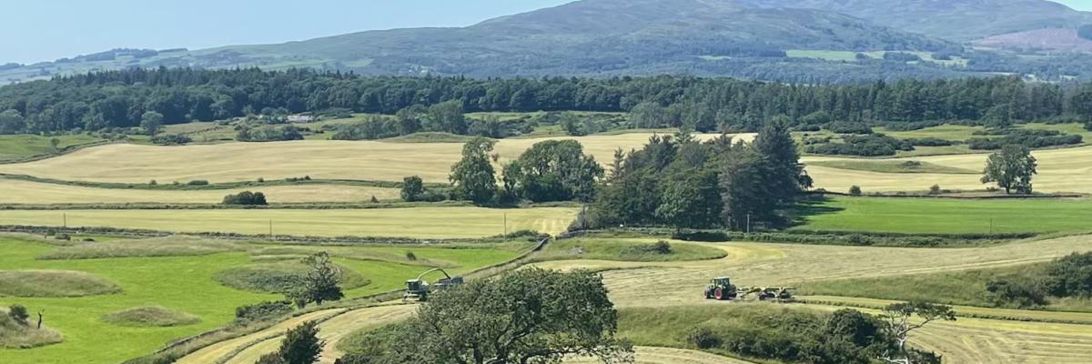 Grass cutting at Rainton Farm