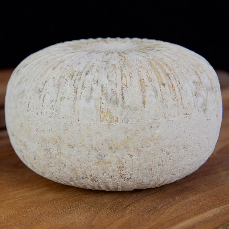 Full Rainton Tomme cheese