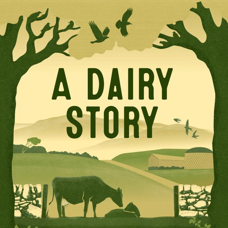 A Dairy Story book cover