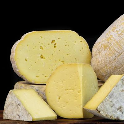 Ethical Dairy cheese range