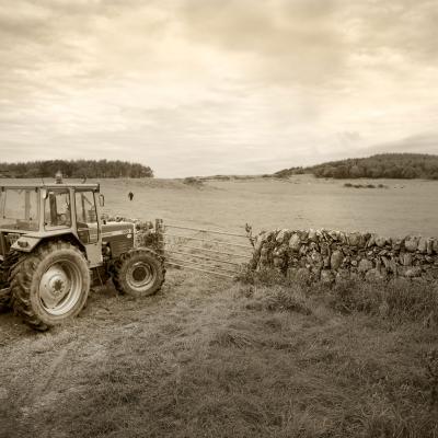 Tractor in field at the Ethical Dairy