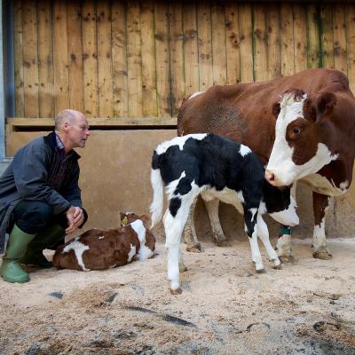 The Ethical Dairy 