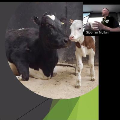 A presentation slide